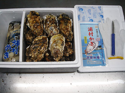 浜英水産製　牡蠣むき身(加熱用)500g＆セル牡蠣20個セット